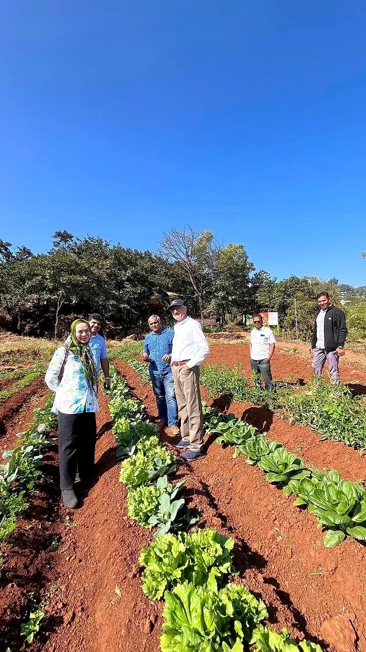 Visitors standing among lettuce and cabbage rows in red-soil beds on a hill farm, clear blue sky