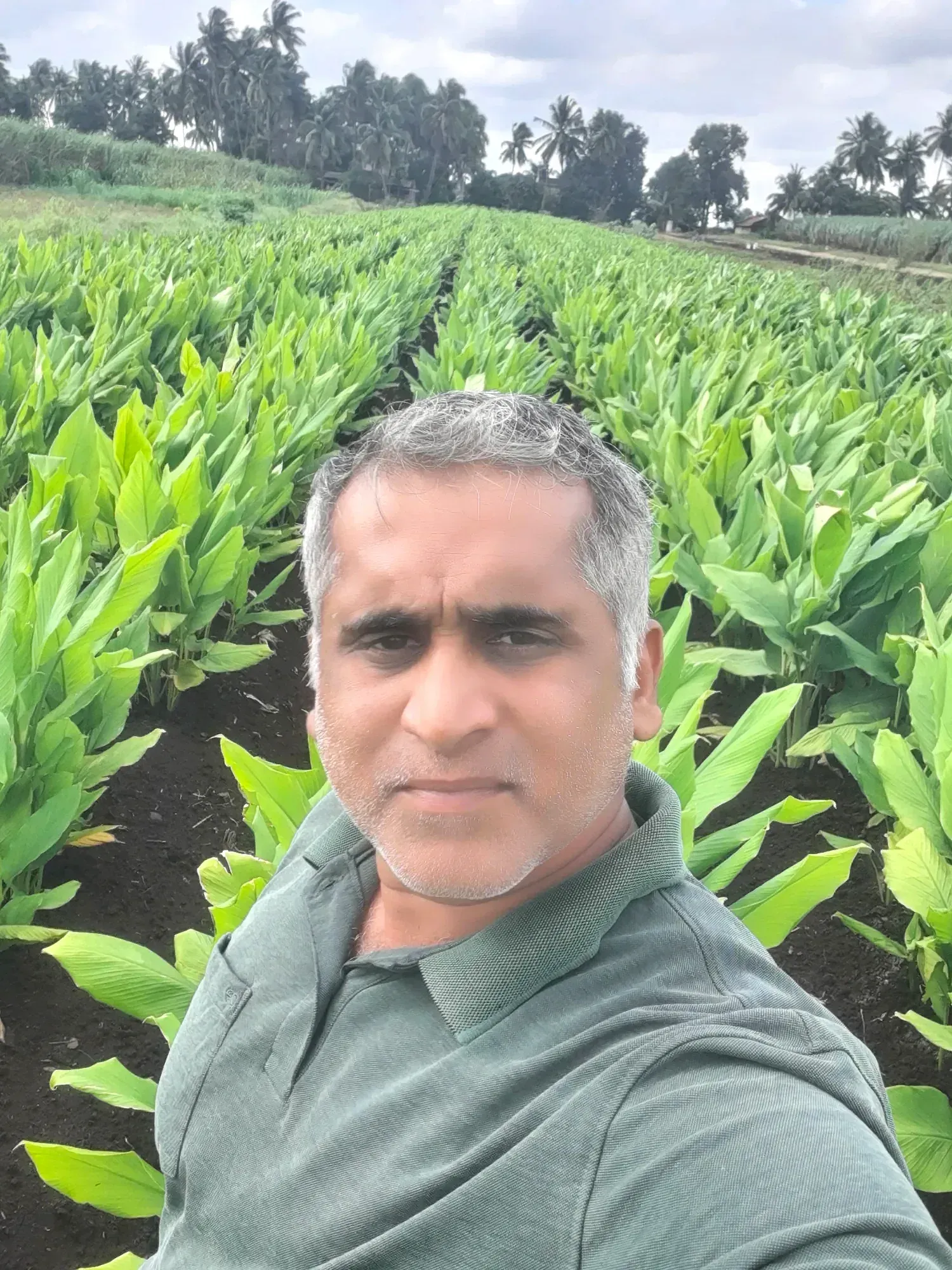 A man standing in the family plantation, broad-leafed turmeric rows behind him