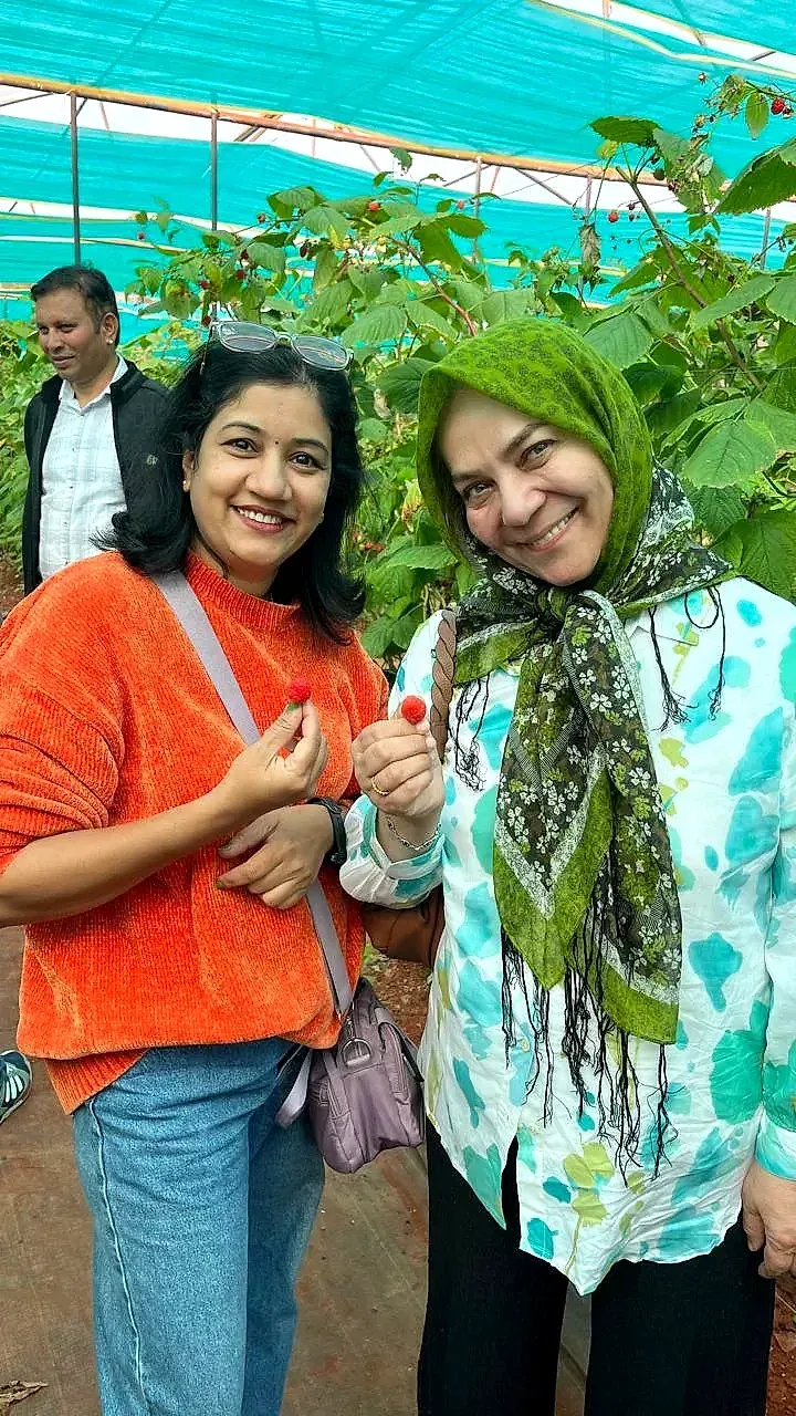 Two women holding just-picked raspberries to camera under a blue-netted polytunnel