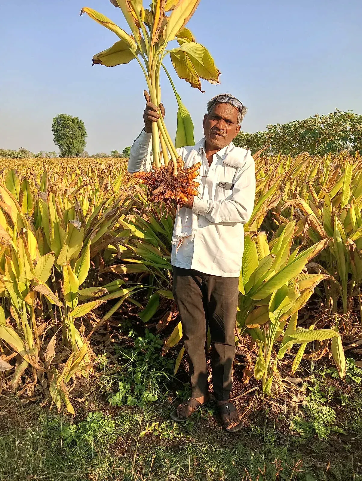 A turmeric farmer near Nanded standing beside containers of organic fertiliser