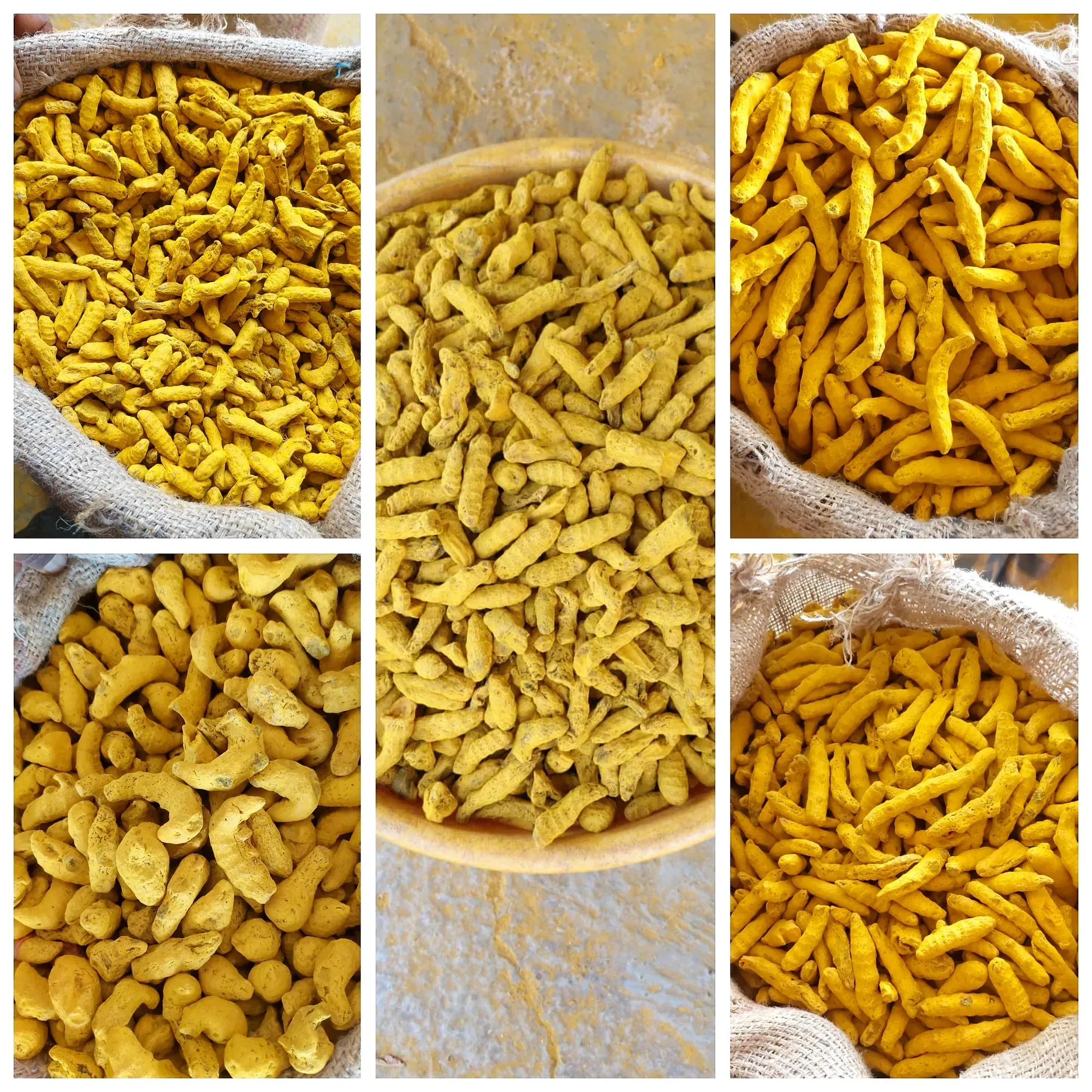 A panel comparing several grades of dried turmeric fingers side by side in bowls and open sacks