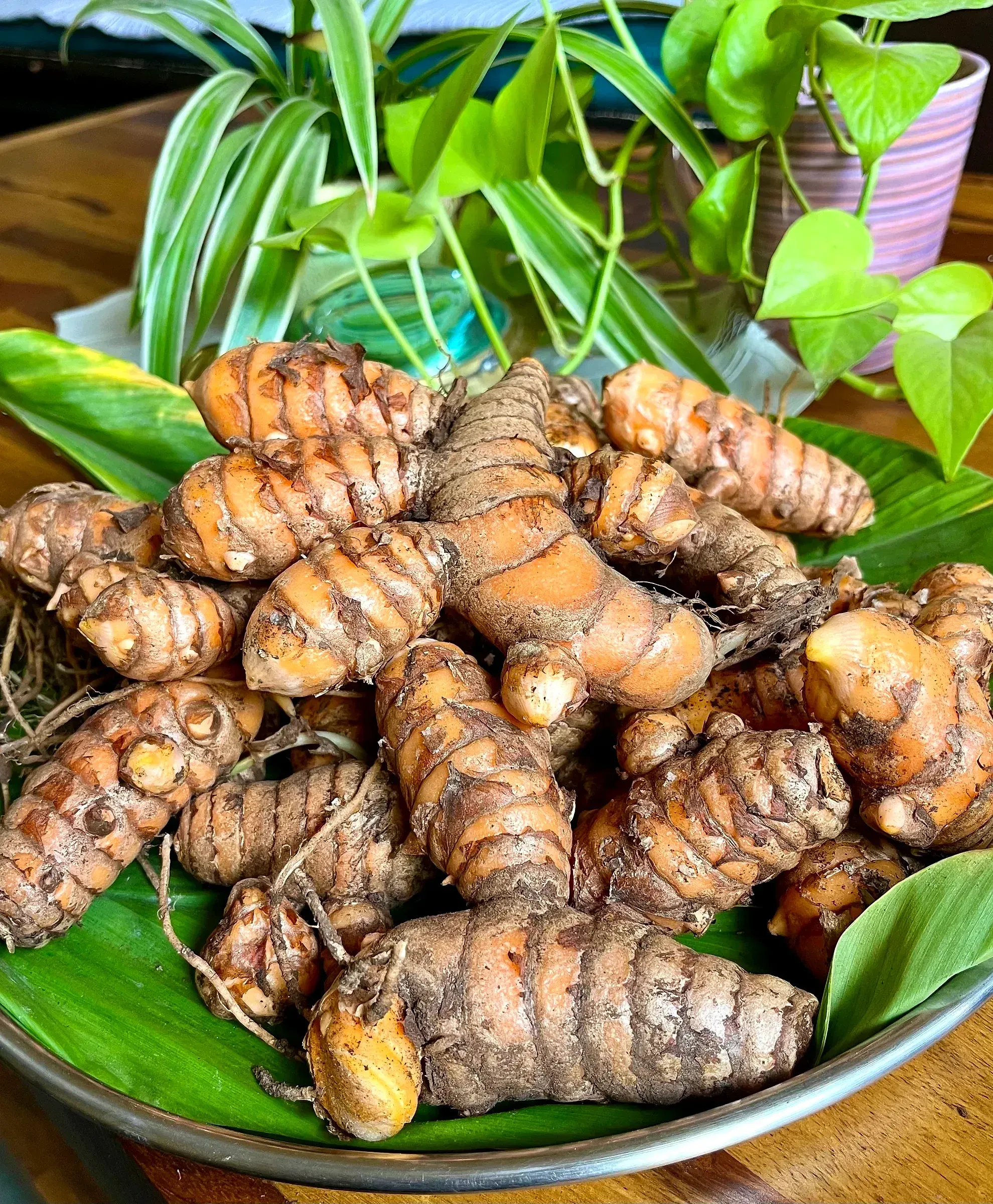 Fresh turmeric rhizomes piled on a banana leaf in a steel tray