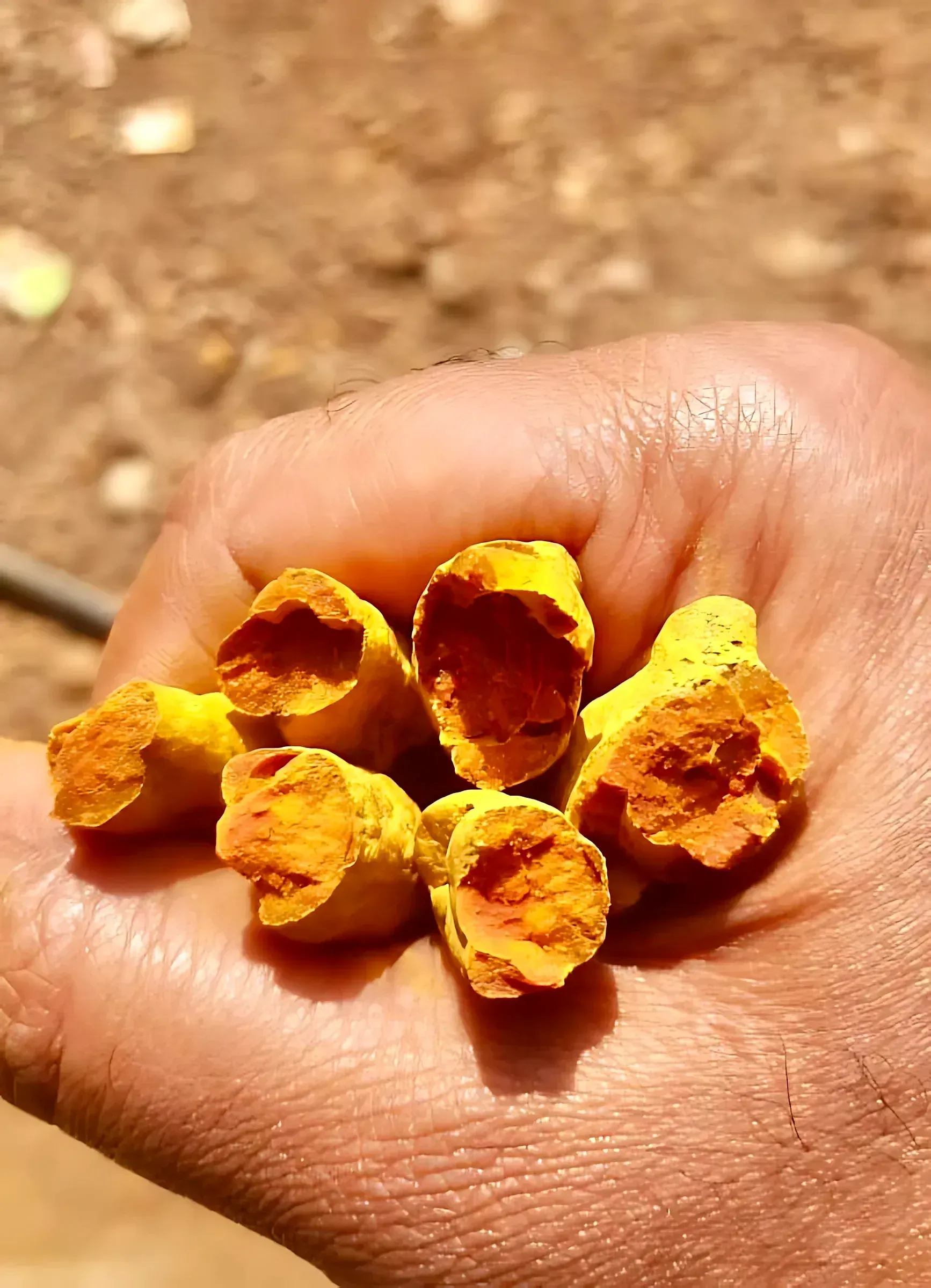 Turmeric Powder (Made from finest turmeric of Sangli Area) — view 6