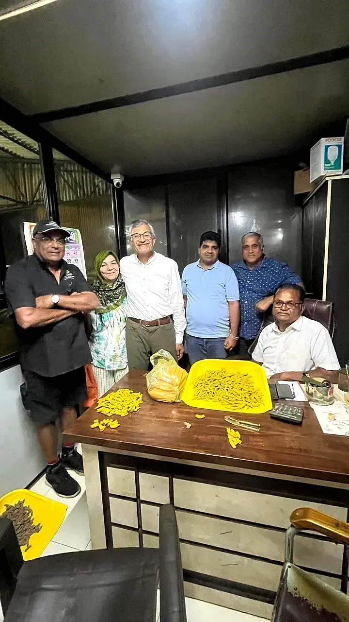 Six people around a desk at night grading dried turmeric fingers laid out on a yellow tray